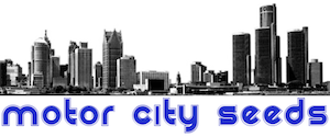 Motor City Seeds logo with Detroit skyline