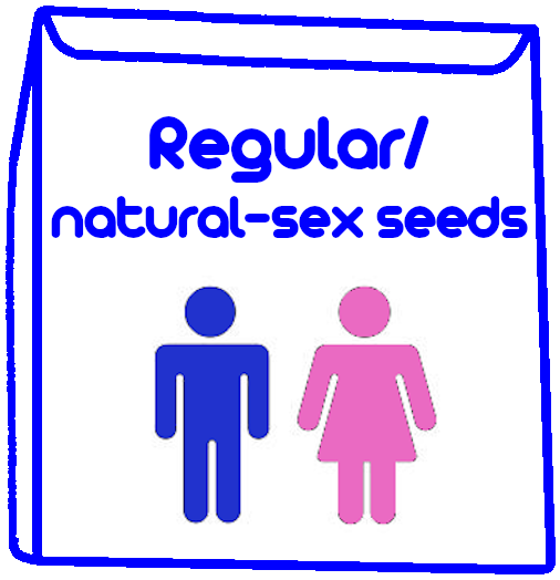 blue seed packet with label Regular/Natural-Sex Seeds + regular-sex (male/female) icon