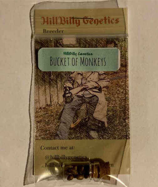 photo of Bucket of Monkeys seedpack showing logo, label & corked seed vial bred by Hillbilly Genetics