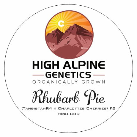 label for Rhubarb Pie CBD hemp strain bred by High Alpine Genetics