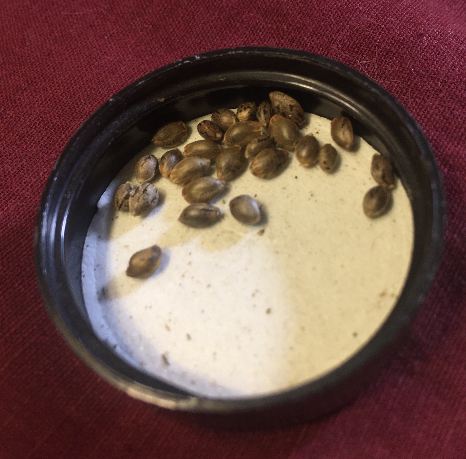 Ice Cream Cake x Red Velvet